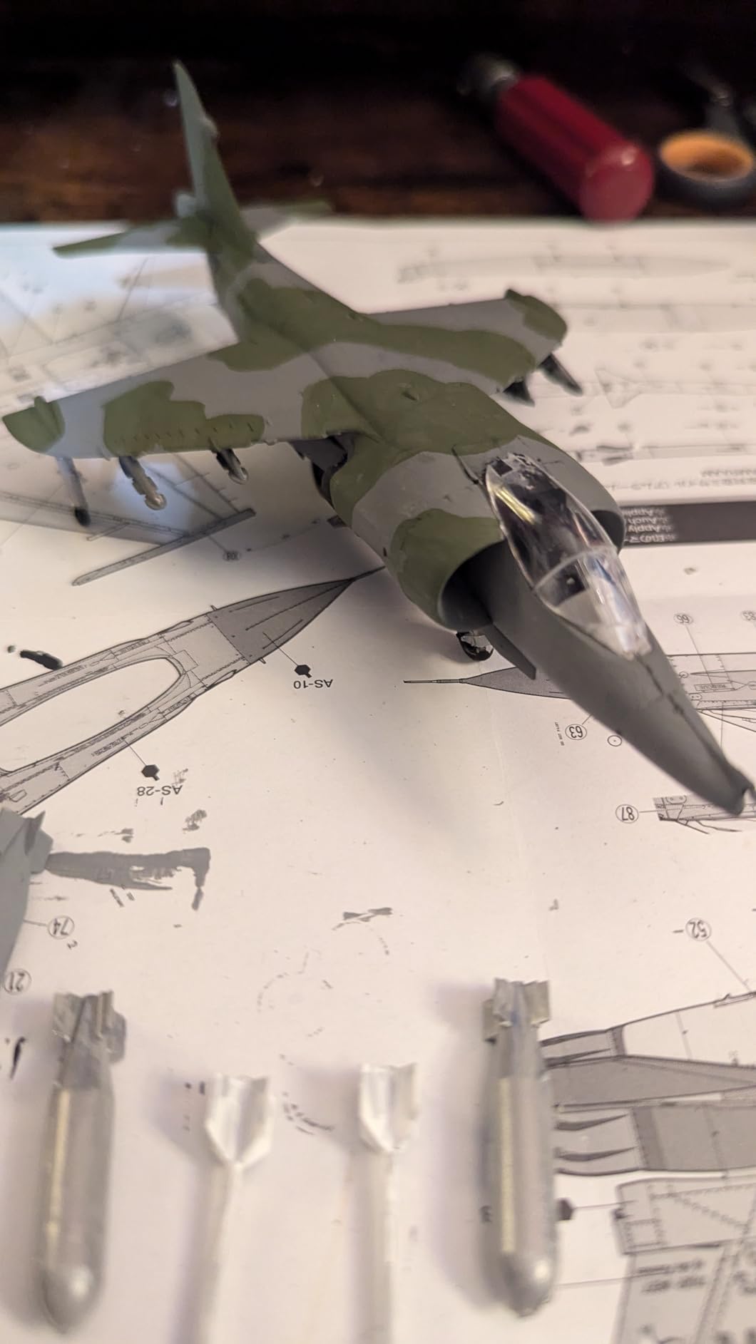 Magnifique Harrier des Malouines