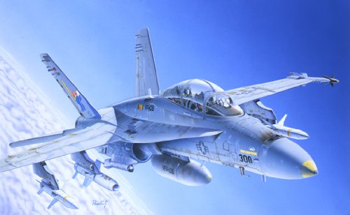 italeri-i016-f-a-18c-d-wild-weasel-maquette-avion-1-72 image 3