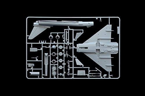 italeri-ef-2000-typhoon-monoplace-i1355-maquette-avion-plastique image 7